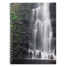 carnet "Anna's Pond"