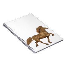 Années 1930 Islande