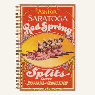 Carnet Annonce Vintage Pour Saratoga Red Spring Splings