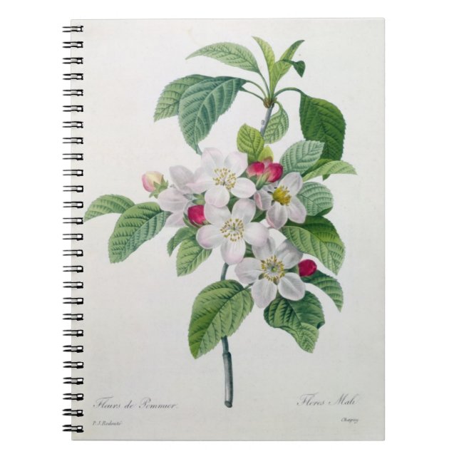 Carnet Apple fleurissent, du 'DES de Les Choix plus des (Devant)