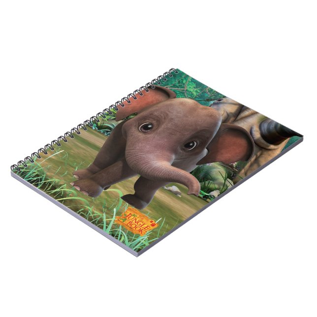 Carnet Appu (Côté gauche)