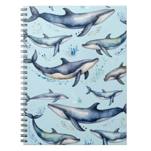 Carnet Aquarelle Baleines bleues et dauphins, animal mari