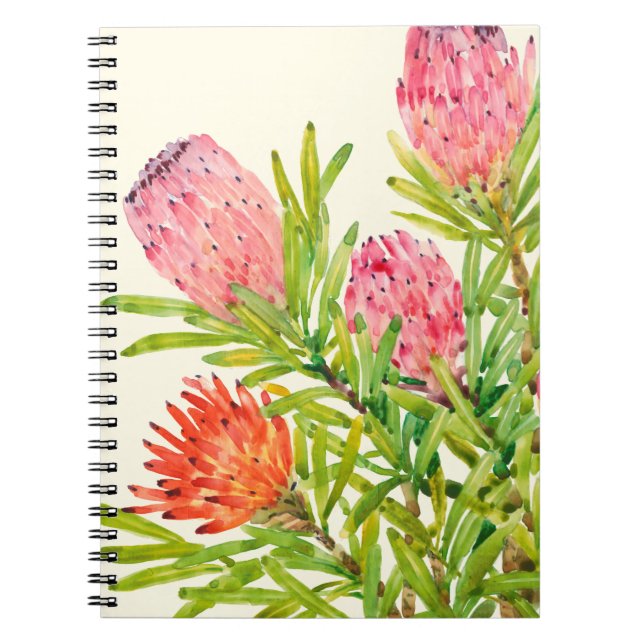 Carnet Aquarelle Fleurs tropicales (Devant)