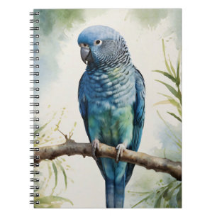 Carnet Aquarelle Parakee bleu Eucalyptus Tree