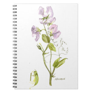 Carnet Aquarelle pourpre et verte de fleur de doux-pois