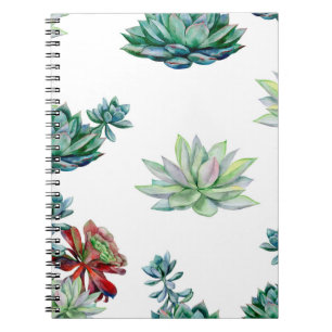 Carnet Aquarelle succulent sans soudure motif, echeverie