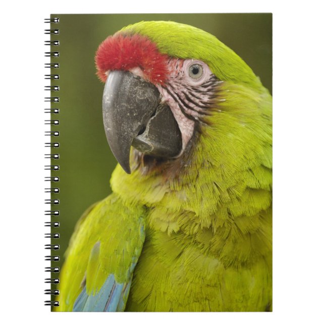 Carnet Ara militaire (Devant)