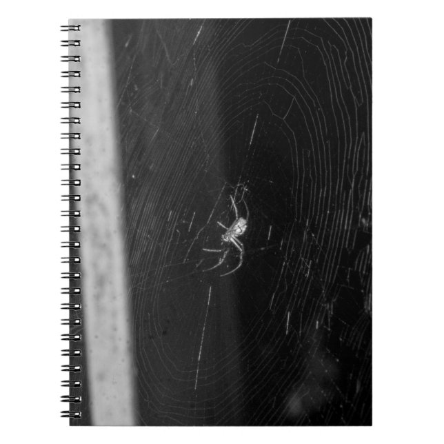 Carnet Araignée de cave (Devant)