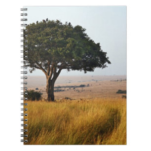 Carnet Arbre d'acacia isolé dans les plaines herbeuses, M