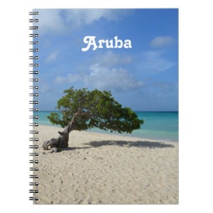 Carnet Arbre d'Aruba Divi Divi