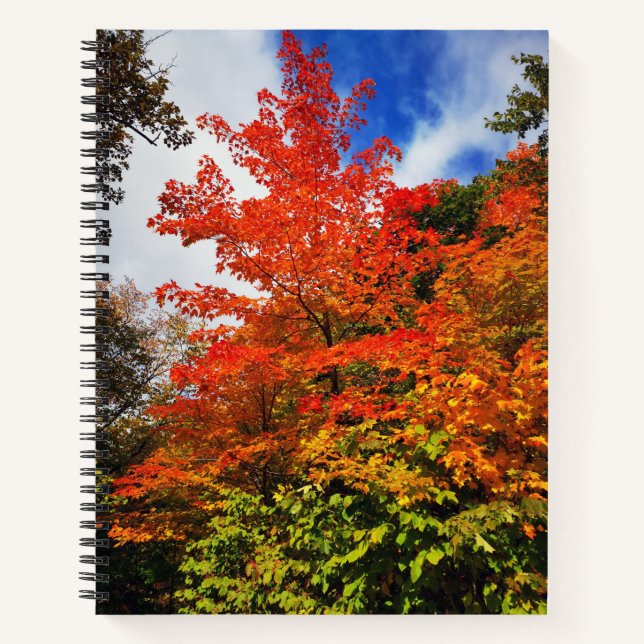Carnet Arbre d'automne (Devant)