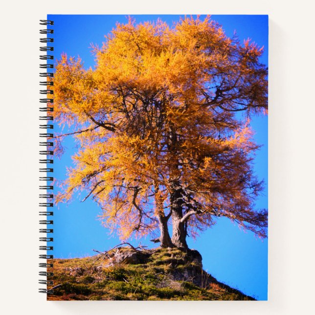 Carnet Arbre d'automne (Devant)
