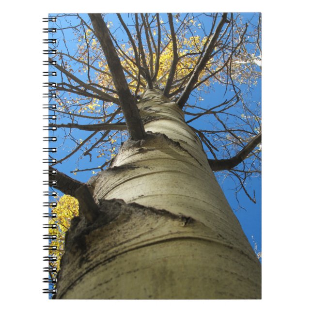 Carnet Arbre grand de tremblement Aspen (Devant)