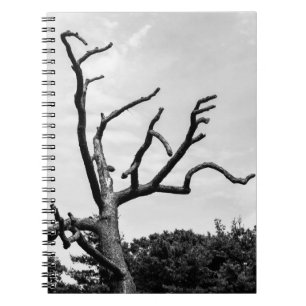 Carnet arbre libre