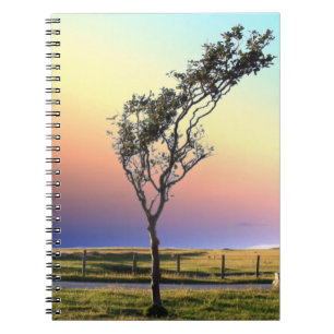 CARNET ARBRE LONE