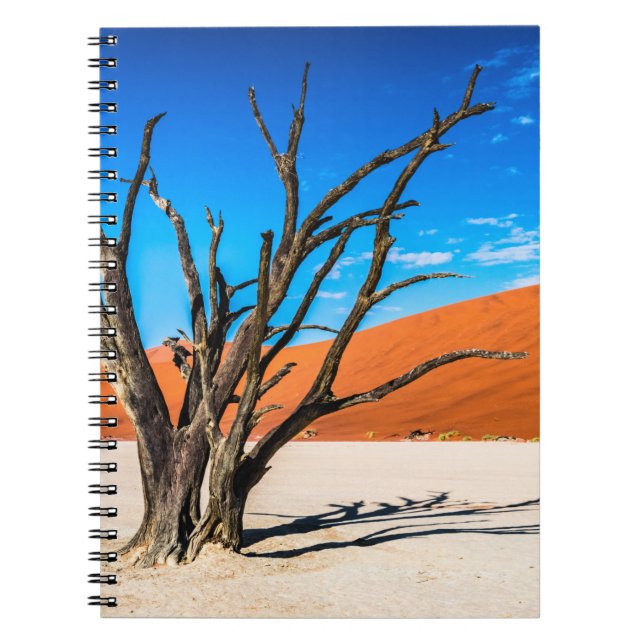 Carnet Arbre mort à Deadvlei, Namibie (Devant)
