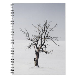 CARNET ARBRE NÉ AU MILIEU DE LA NEIGE