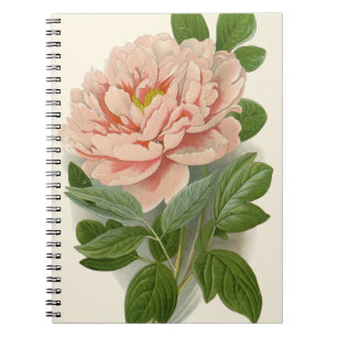 Carnet Arbre Peony - Design botanique Vintage élégant
