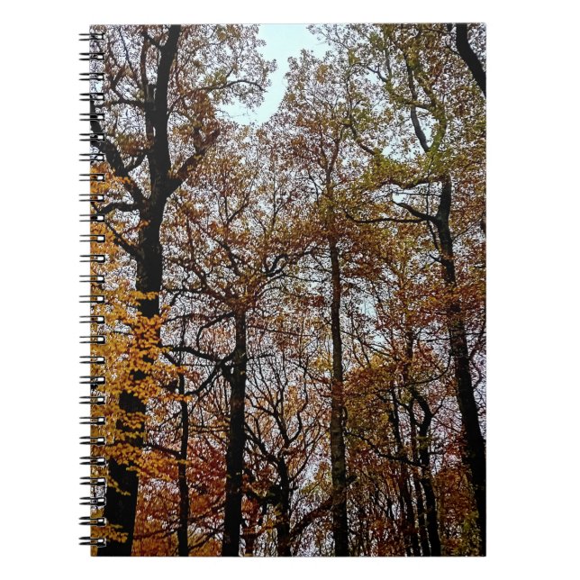 Carnet arbres Brown (Devant)