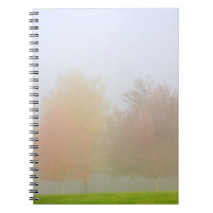 Carnet Arbres de chute enveloppés en brume