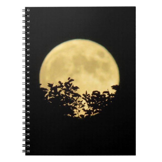 Carnet Arbres rétroéclairés par la pleine lune (Devant)
