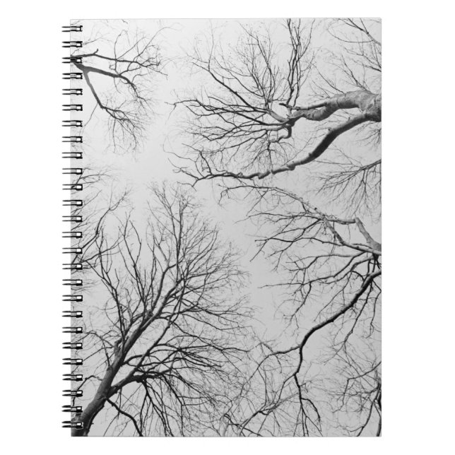 Carnet Arbres sans feuilles en bois de Thiepval (Devant)