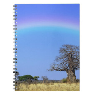 Carnet Arc-en-ciel et baobab africain, Adansonia