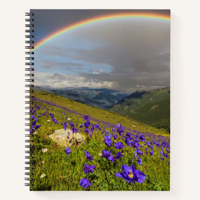 Carnet Arc En Ciel Sur Un pré Fleuri (Devant)