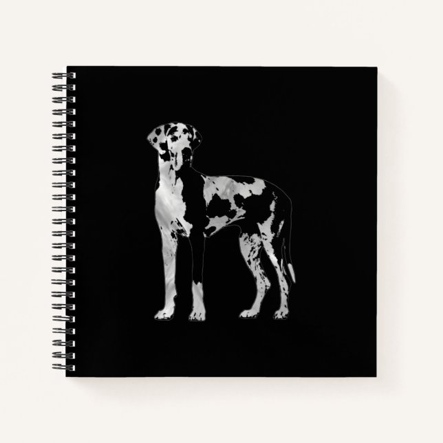 Carnet Arlequin Grande Danse - perle et argent (Devant)