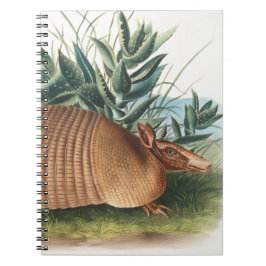 Carnet Armadillo Beige Or Neuf