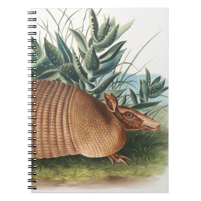 Carnet Armadillo Beige Or Neuf (Devant)