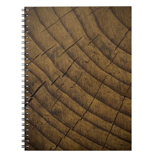 Carnet Arrière - plan de pin naturel. Matière première. O (Devant)
