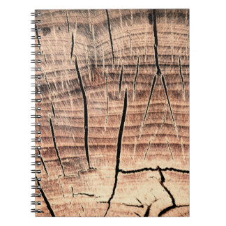 Carnet arrière - plan d'un stumpabstract en bois, âge, vi