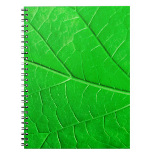 Carnet Arrière - plan plante de l'écologie des feuilles v