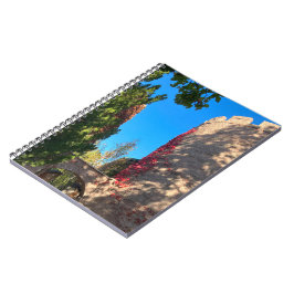 Carnet Arrivant au Fort