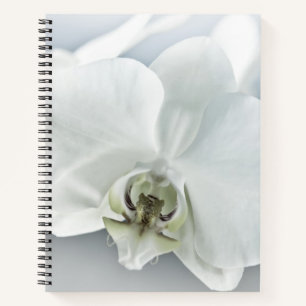 Carnet Art botanique de l'orchidée blanche élégante