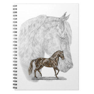 Carnet Art de cheval de Paso Fino