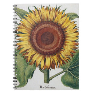 Carnet Art de fleur de damas vintage tournesol
