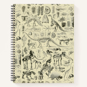 Carnet Art de fossiles d'os de dinosaures vintage