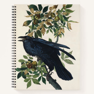 Carnet Art de la nature de l'oiseau corbeau Audubon vinta