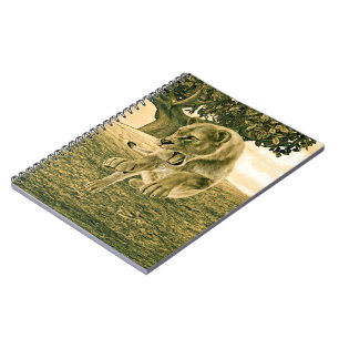 Carnet Art dramatique de la lionne de safari faunique