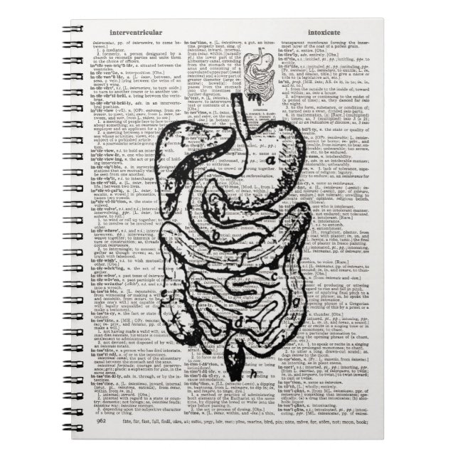 Carnet Art du dictionnaire d'illustrations Médicale (Devant)