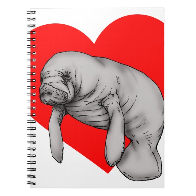 Carnet art manatee (Devant)