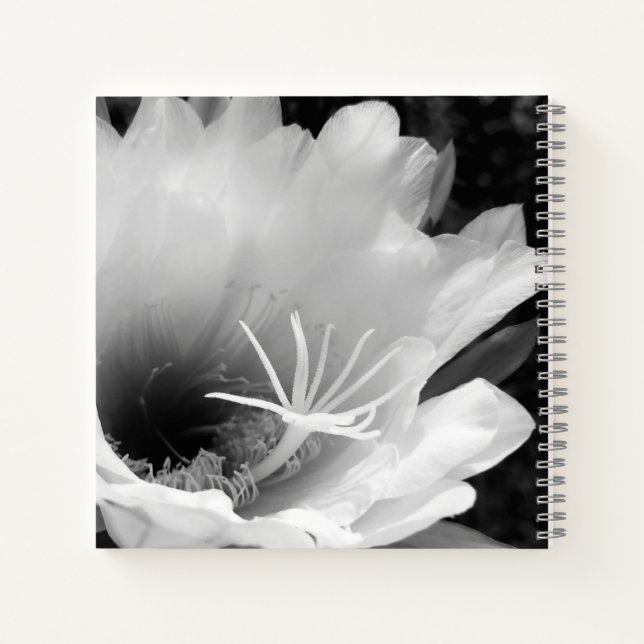 Carnet Art original : "Cereus fleur de nuit" (Dos)