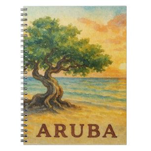 Carnet Aruba Eagle Beach Divi Tree Heure Dorée