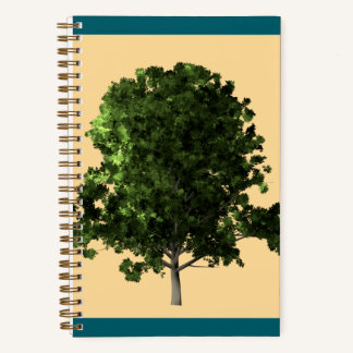 Carnet Ash Tree