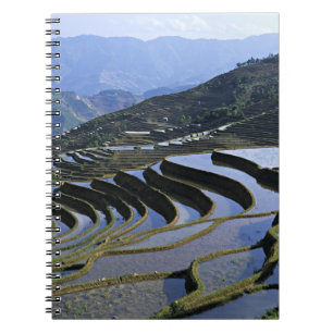 Carnet Asie, Chine, Yunnan, Yuanyang. Accidenté