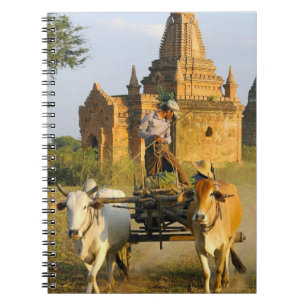 Carnet Asie, Myanmar (Birmanie), Bagan (Pagan). Un chario