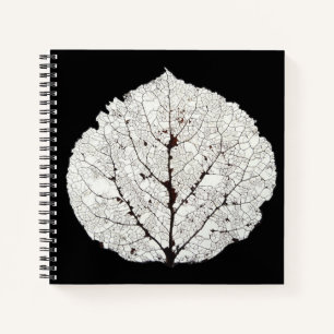 Carnet Aspen Feuille Squelette 1