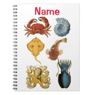 Carnet Association d'apaces de mer uniques Thunder_Cove